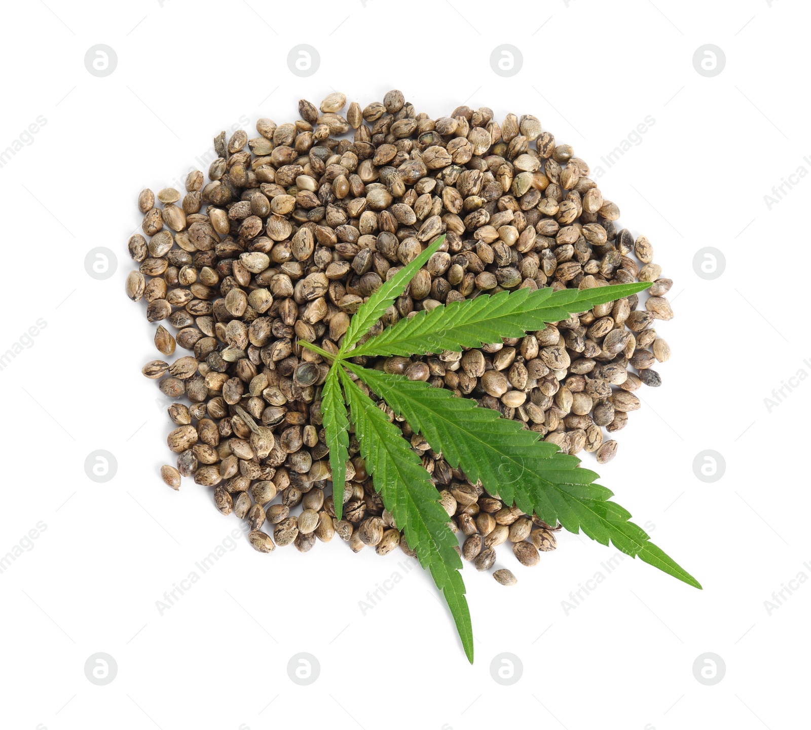 Photo of Pile of hemp seeds and leaf on white background, top view