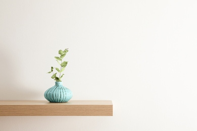 Photo of Wooden shelf with plant in vase on light wall