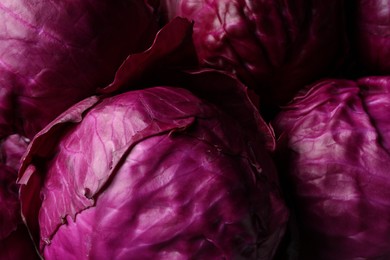 Many fresh ripe red cabbages as background, closeup