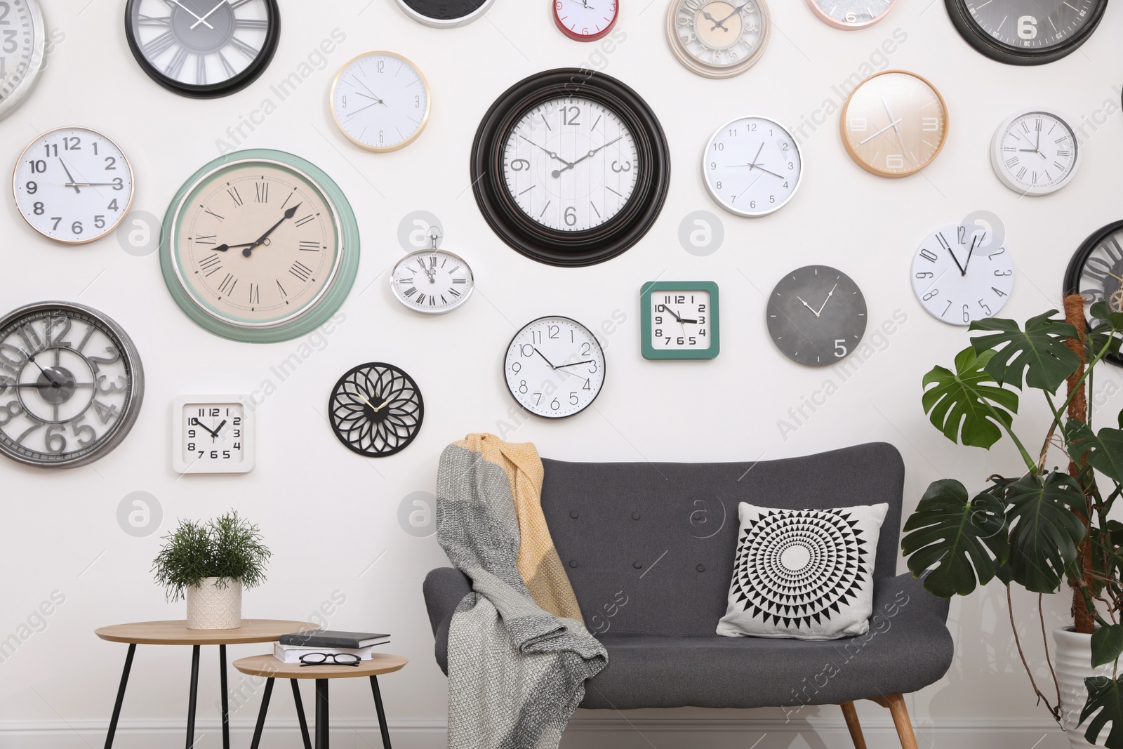 Photo of Comfortable furniture, beautiful houseplant and collection of different clocks on white wall in room