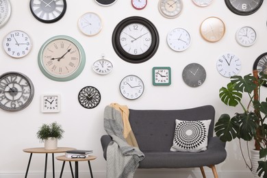 Comfortable furniture, beautiful houseplant and collection of different clocks on white wall in room