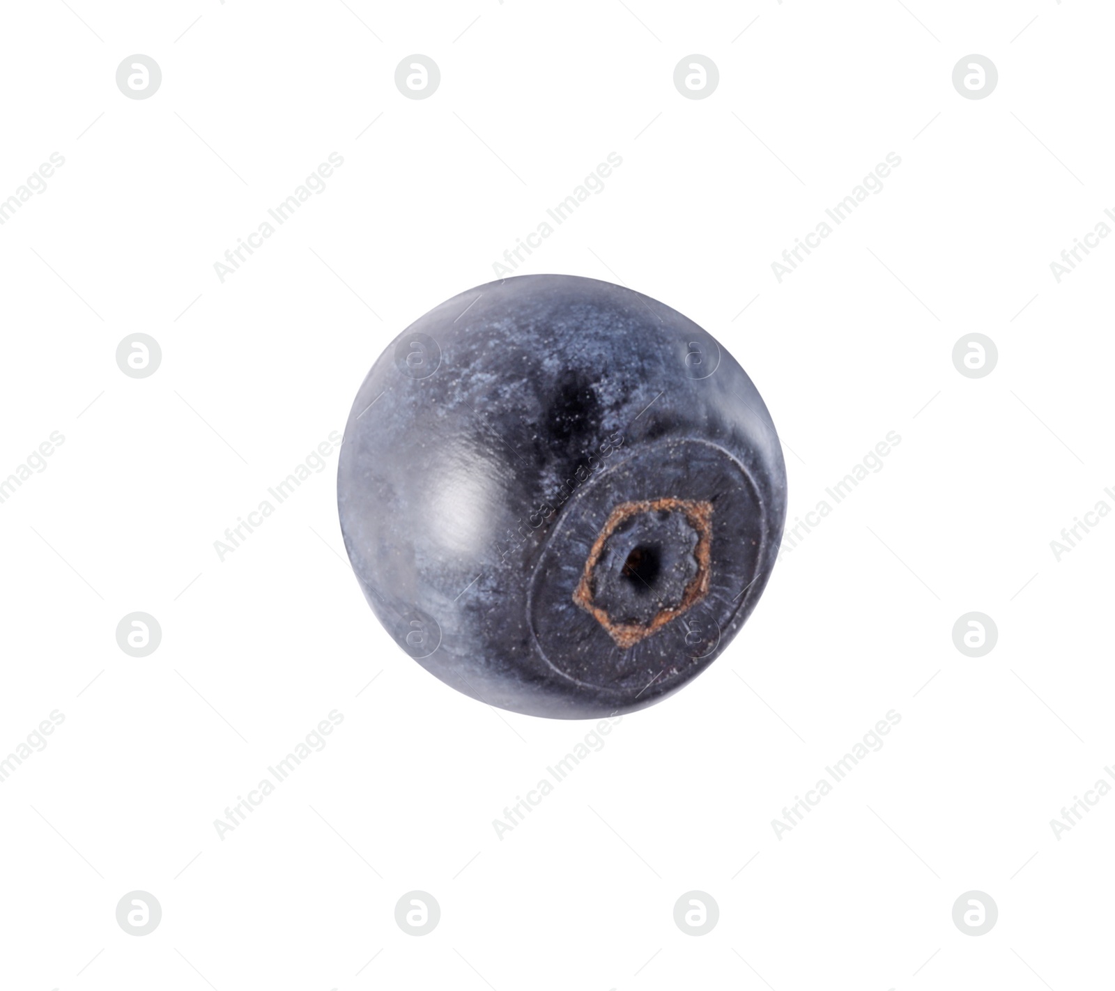 Photo of One tasty ripe bilberry isolated on white