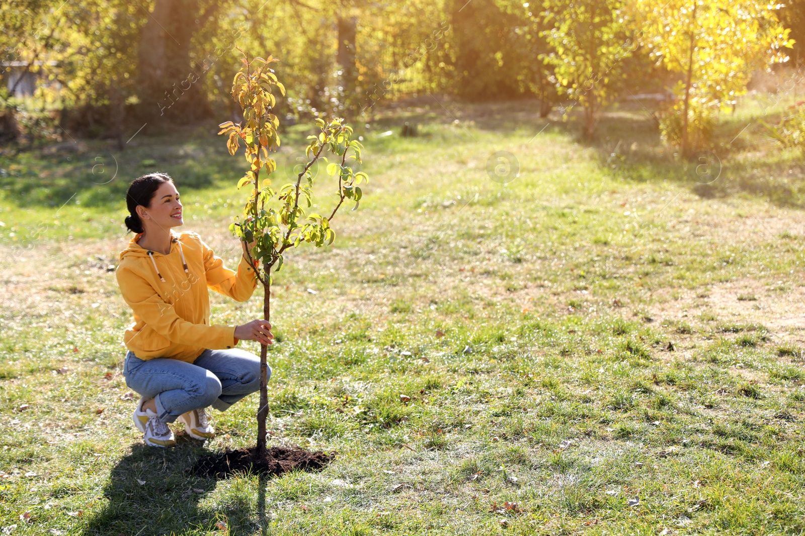 Photo of Mature woman planting young tree in park on sunny day, space for text