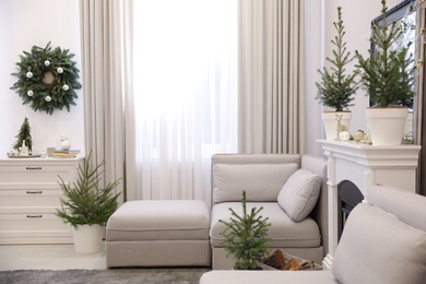 Stylish living room interior with little fir trees and Christmas decorations