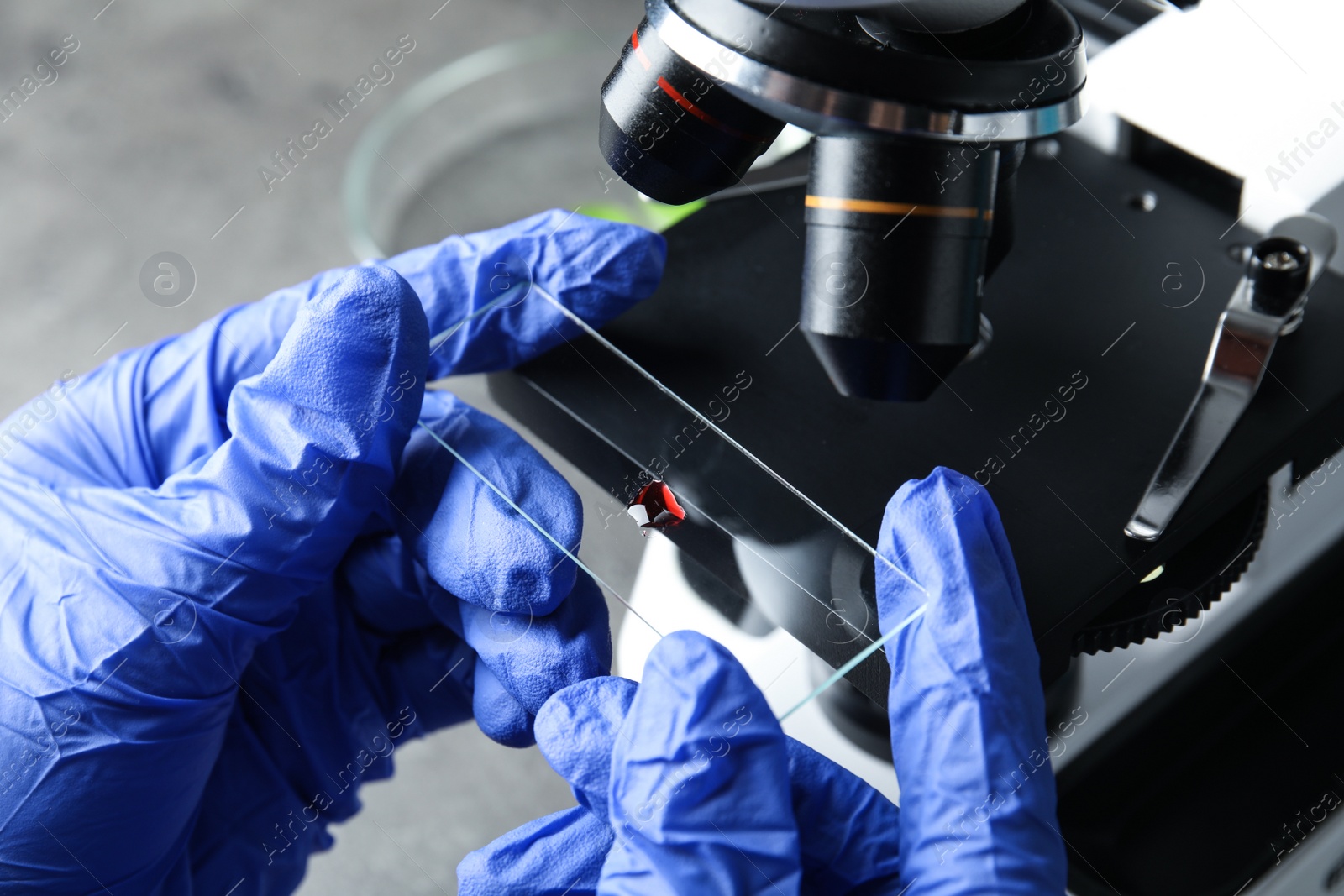 Photo of Medical assistant using microscope at table, closeup