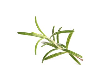 Photo of Sprig of fresh rosemary isolated on white