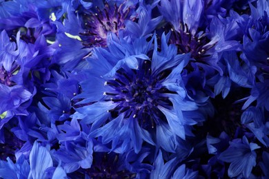 Photo of Beautiful bright blue cornflowers as background, closeup