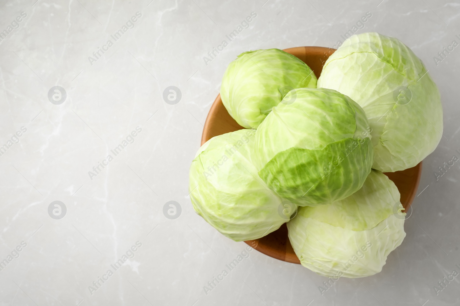 Photo of Ripe white cabbage on light marble table, top view. Space for text