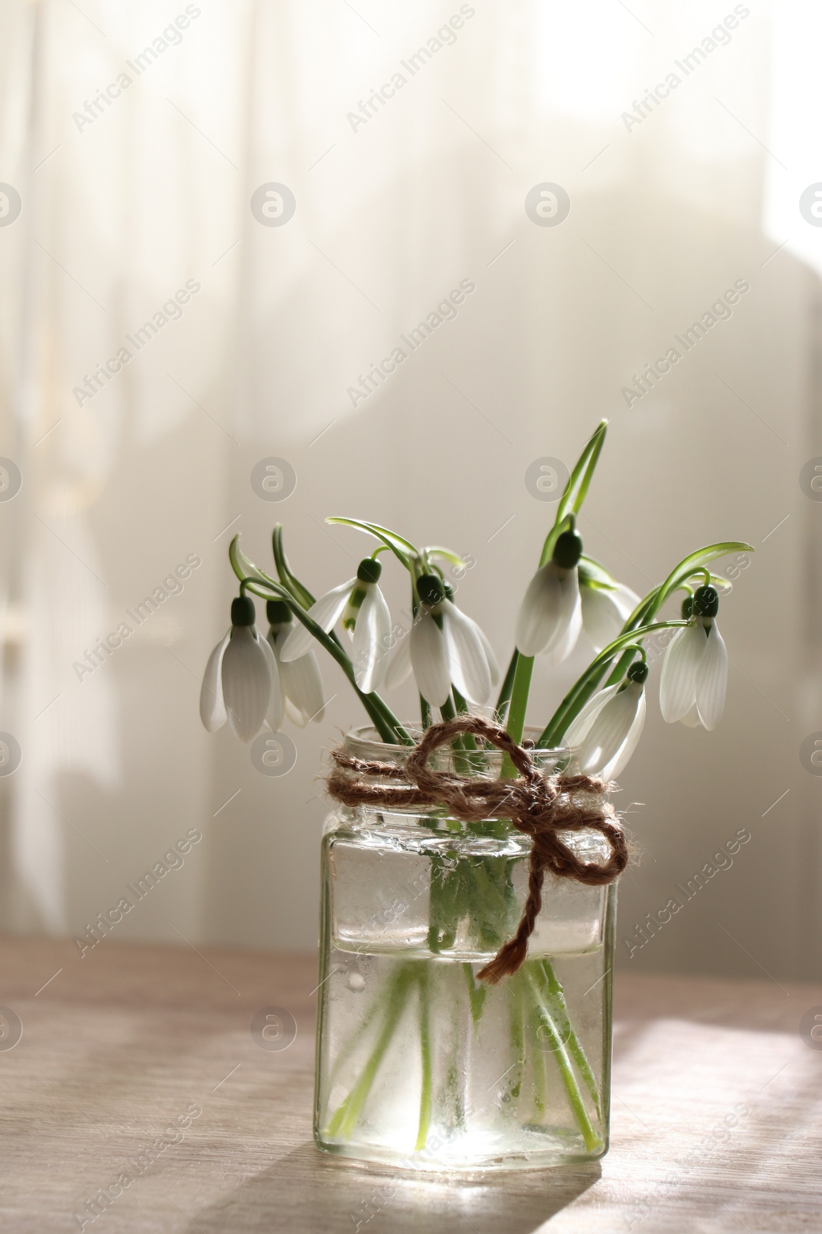 Photo of Beautiful snowdrops in glass jar indoors. First spring flowers