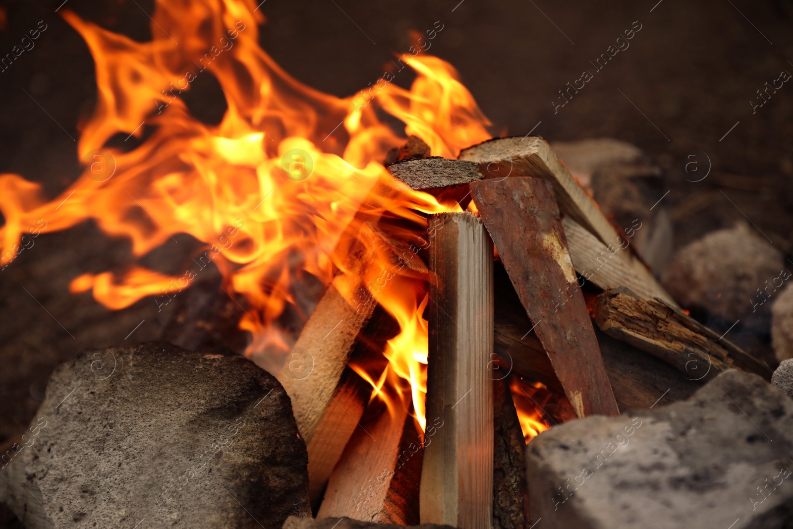 Photo of Beautiful bonfire with burning firewood outdoors, closeup
