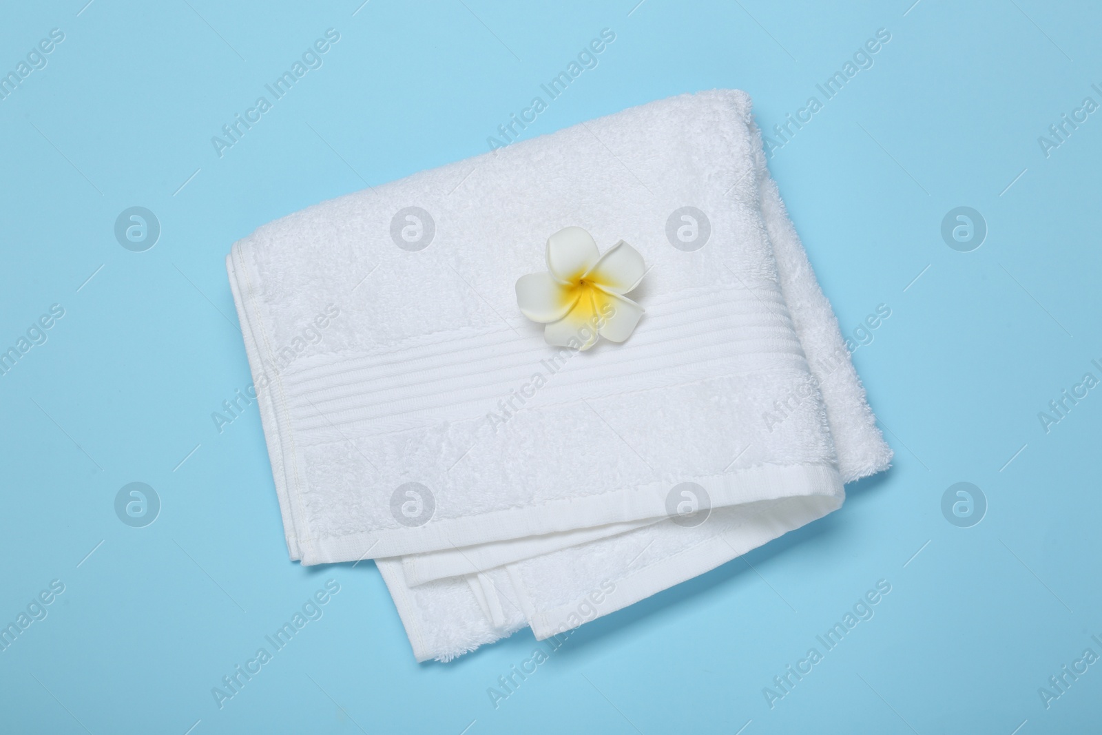 Photo of White terry towel and plumeria flower on light blue background, top view