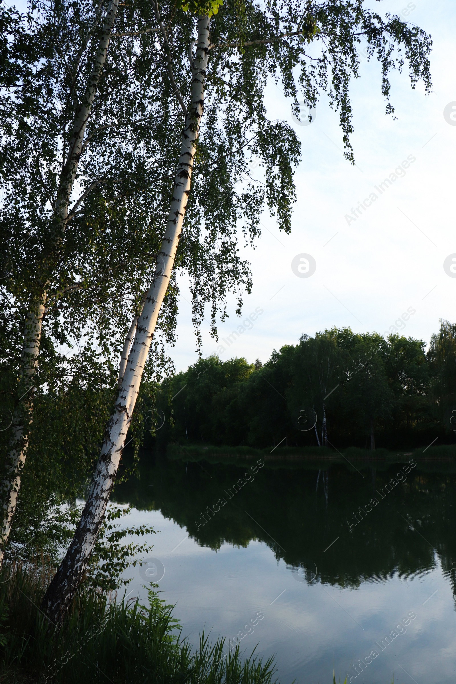 Photo of Picturesque view of beautiful lake in morning