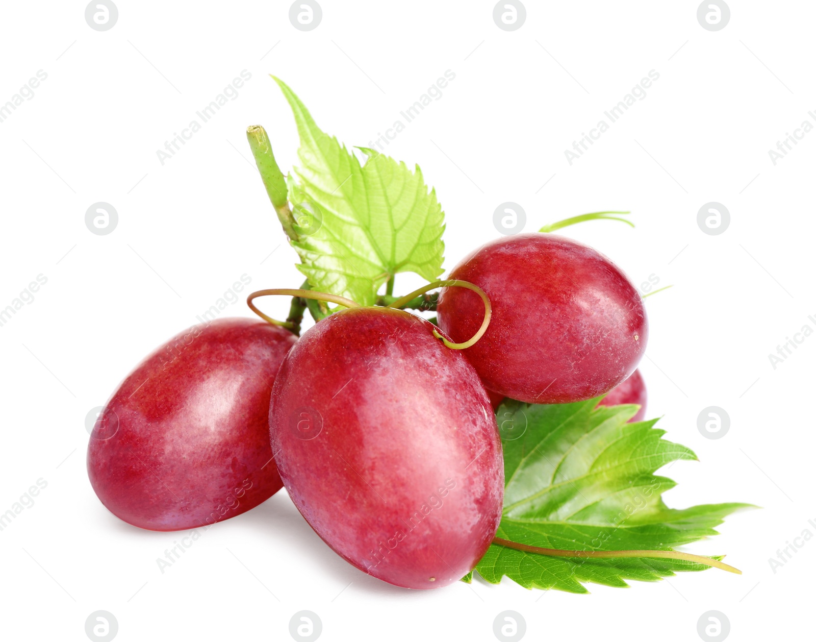 Photo of Fresh ripe juicy pink grapes isolated on white