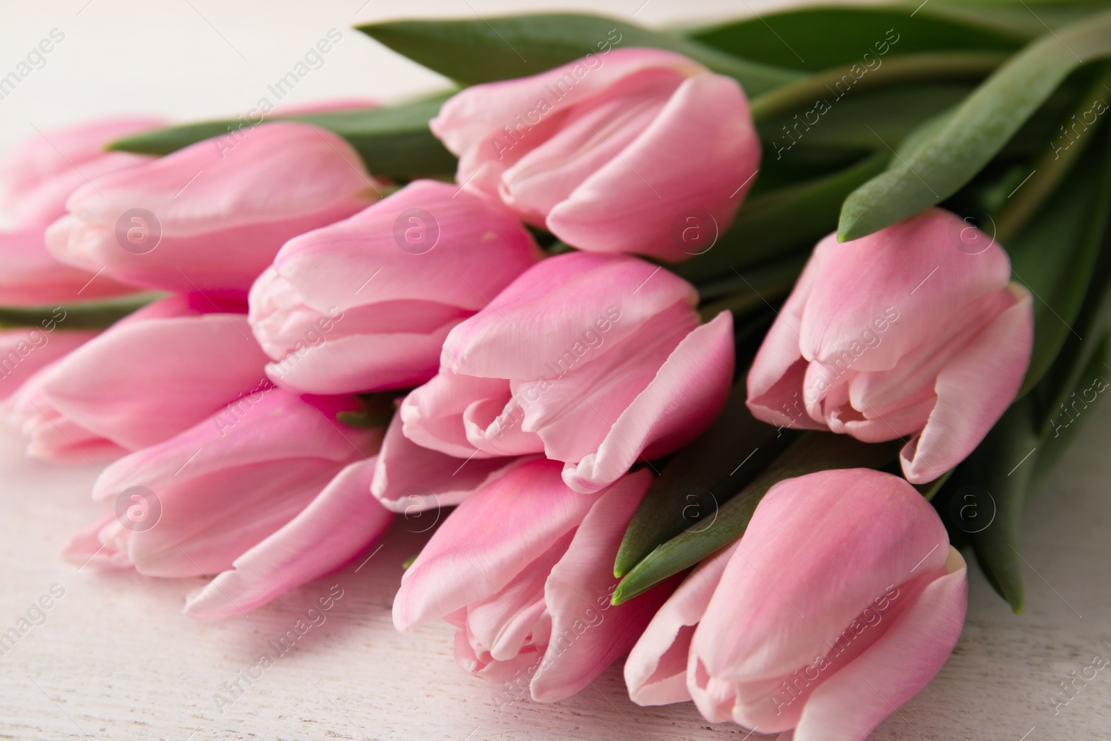 Photo of Beautiful pink spring tulips on white wooden background, closeup