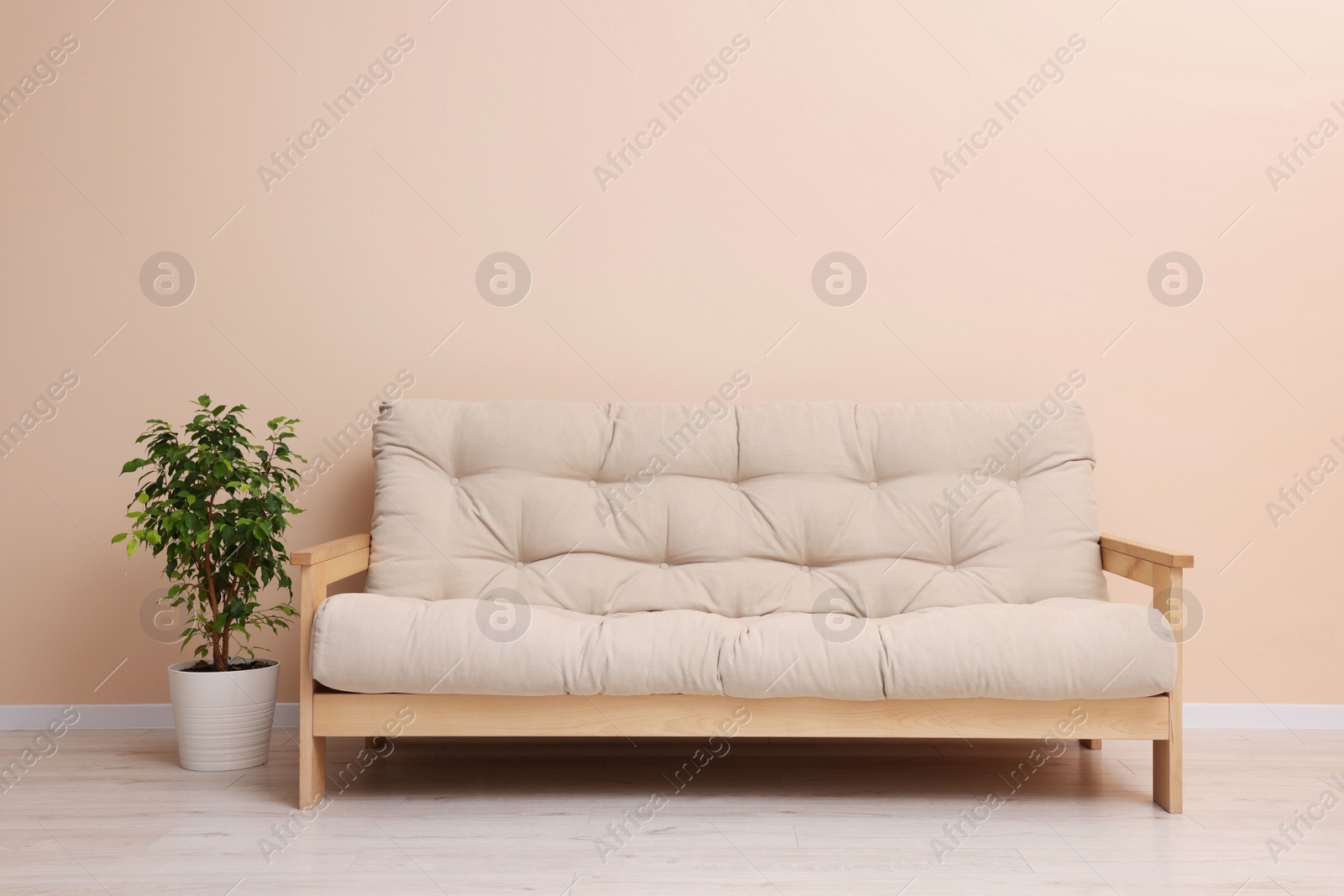 Photo of Comfortable sofa and houseplant indoors. Interior design