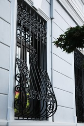 Beautiful window with grills in building outdoors