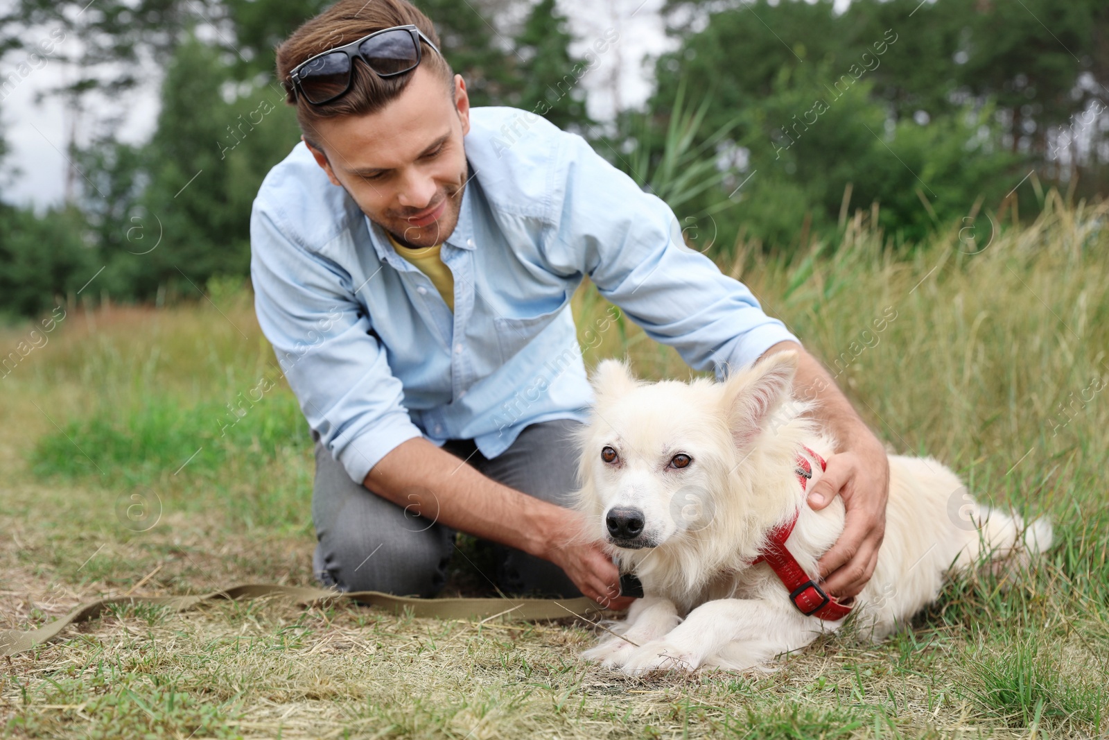 Photo of Male volunteer with homeless dog at animal shelter outdoors