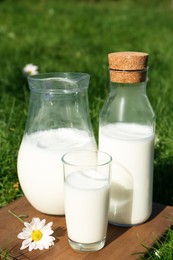 Glassware with fresh milk on green grass outdoors