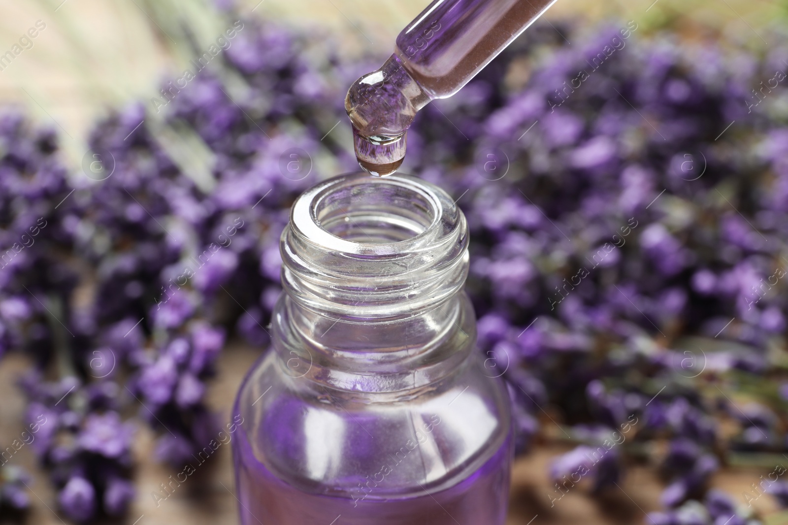 Photo of Natural oil dripping into bottle and lavender flowers on table, closeup. Cosmetic product