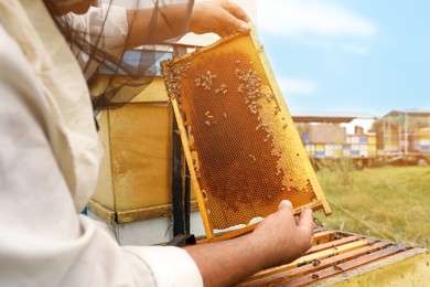 Photo of Beekeeper in uniform taking frame from hive at apiary, closeup. Harvesting honey