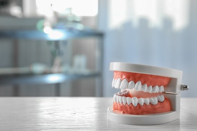 Photo of Educational model of oral cavity on table in clinic, space for text. Professional dentist