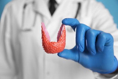 Photo of Doctor holding plastic model of healthy thyroid on light blue background, closeup