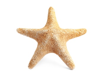 Photo of Beautiful starfish on white background. Beach object