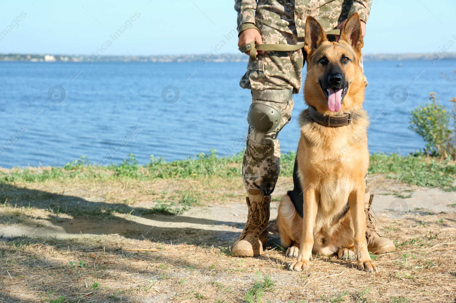 Photo of Man in military uniform with German shepherd dog near river, closeup view