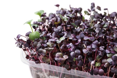 Photo of Fresh organic microgreen on white background, closeup