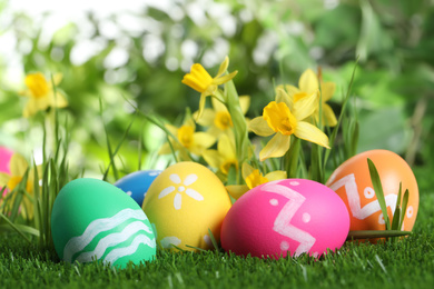 Colorful Easter eggs and daffodil flowers in green grass