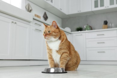 Cute ginger cat near feeding bowl at home