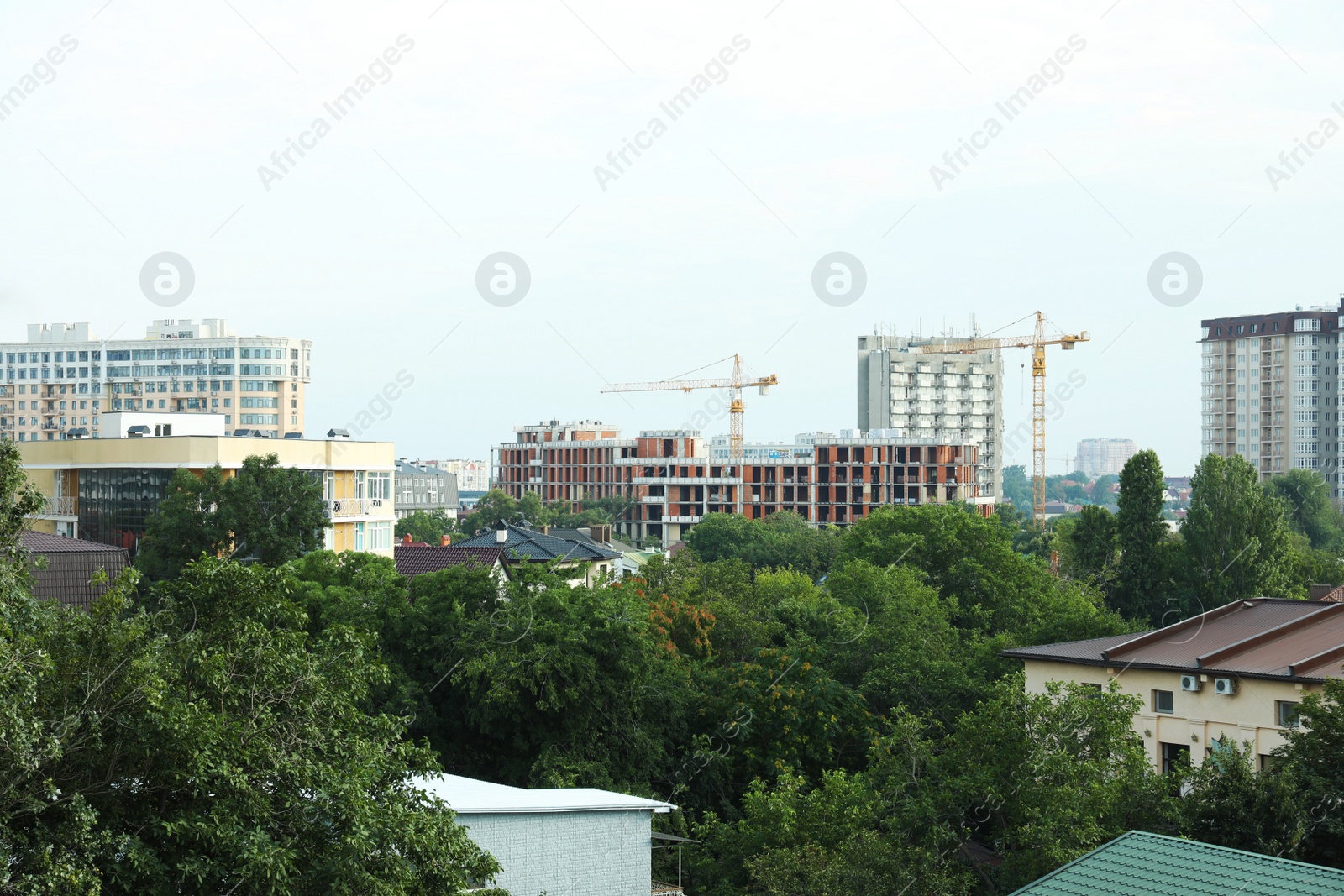 Photo of Multistoried residential buildings and construction cranes in city