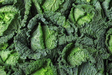 Photo of Fresh green savoy cabbages as background, top view