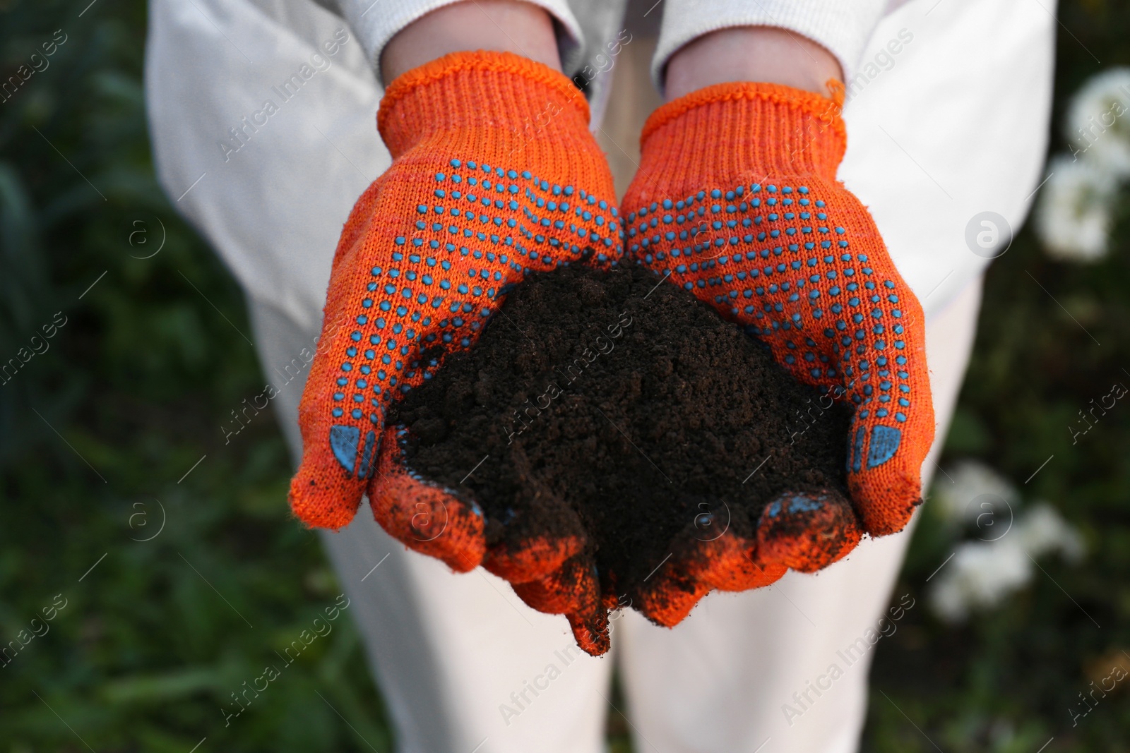 Photo of Woman in gardening gloves holding pile of soil outdoors, closeup