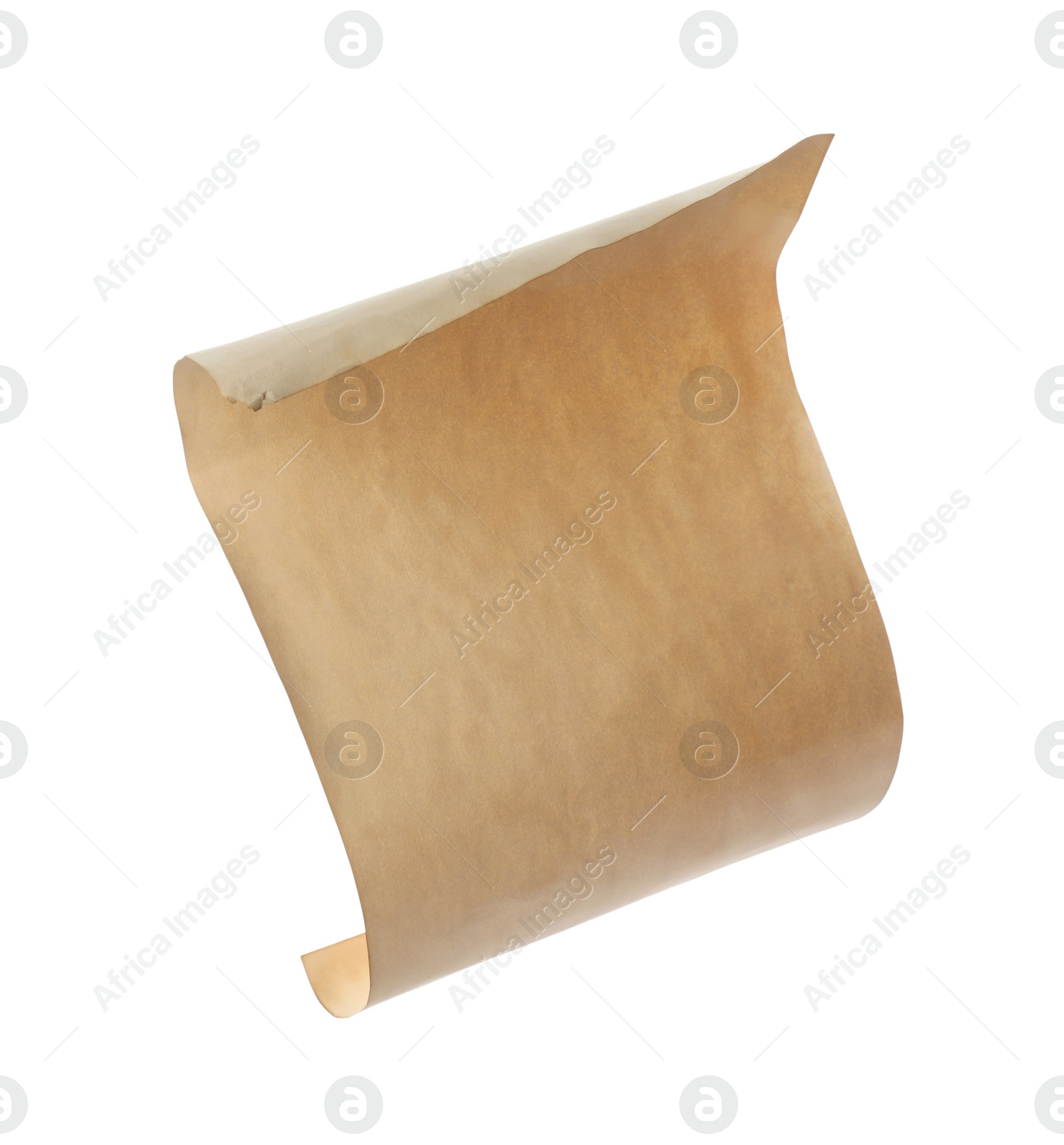 Photo of Sheet of old parchment paper isolated on white. Space for design