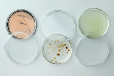 Petri dishes with different bacteria colonies on white background, flat lay