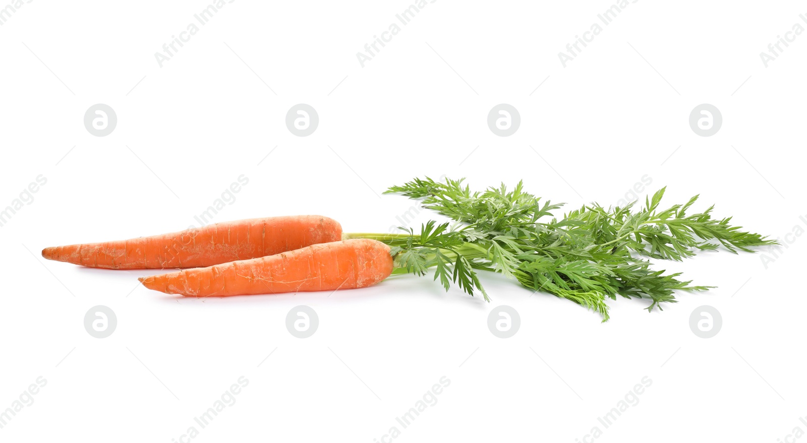 Photo of Fresh ripe carrots on white background. Wholesome vegetable