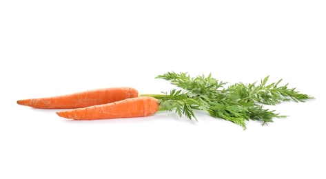 Fresh ripe carrots on white background. Wholesome vegetable