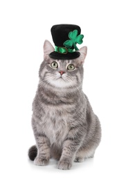 Image of Cute gray tabby cat with leprechaun hat on white background. St. Patrick's Day