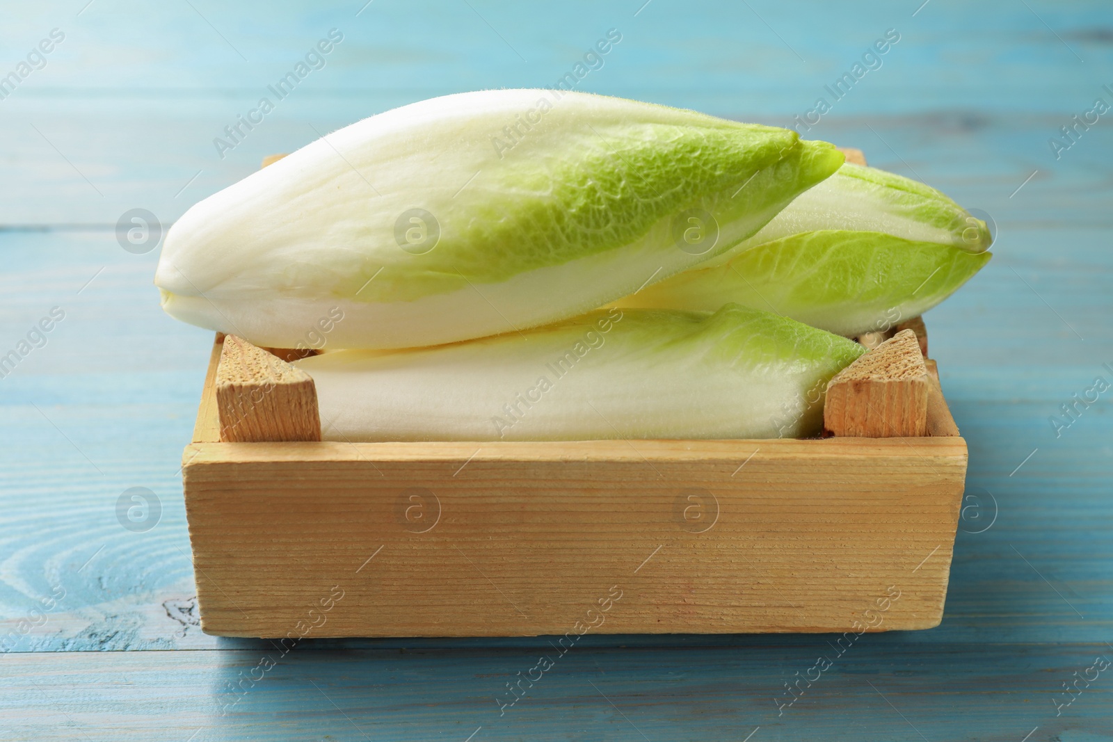 Photo of Fresh raw Belgian endives (chicory) in crate on light blue wooden table