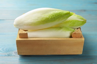 Photo of Fresh raw Belgian endives (chicory) in crate on light blue wooden table