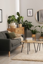 Living room with stylish furniture and beautiful houseplants. Interior design