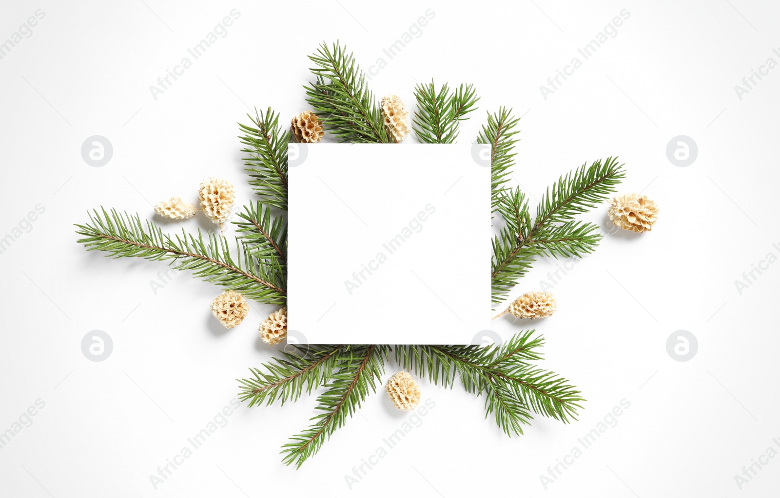 Photo of Pinecones with fir branches and blank card on white background, flat lay. Space for text