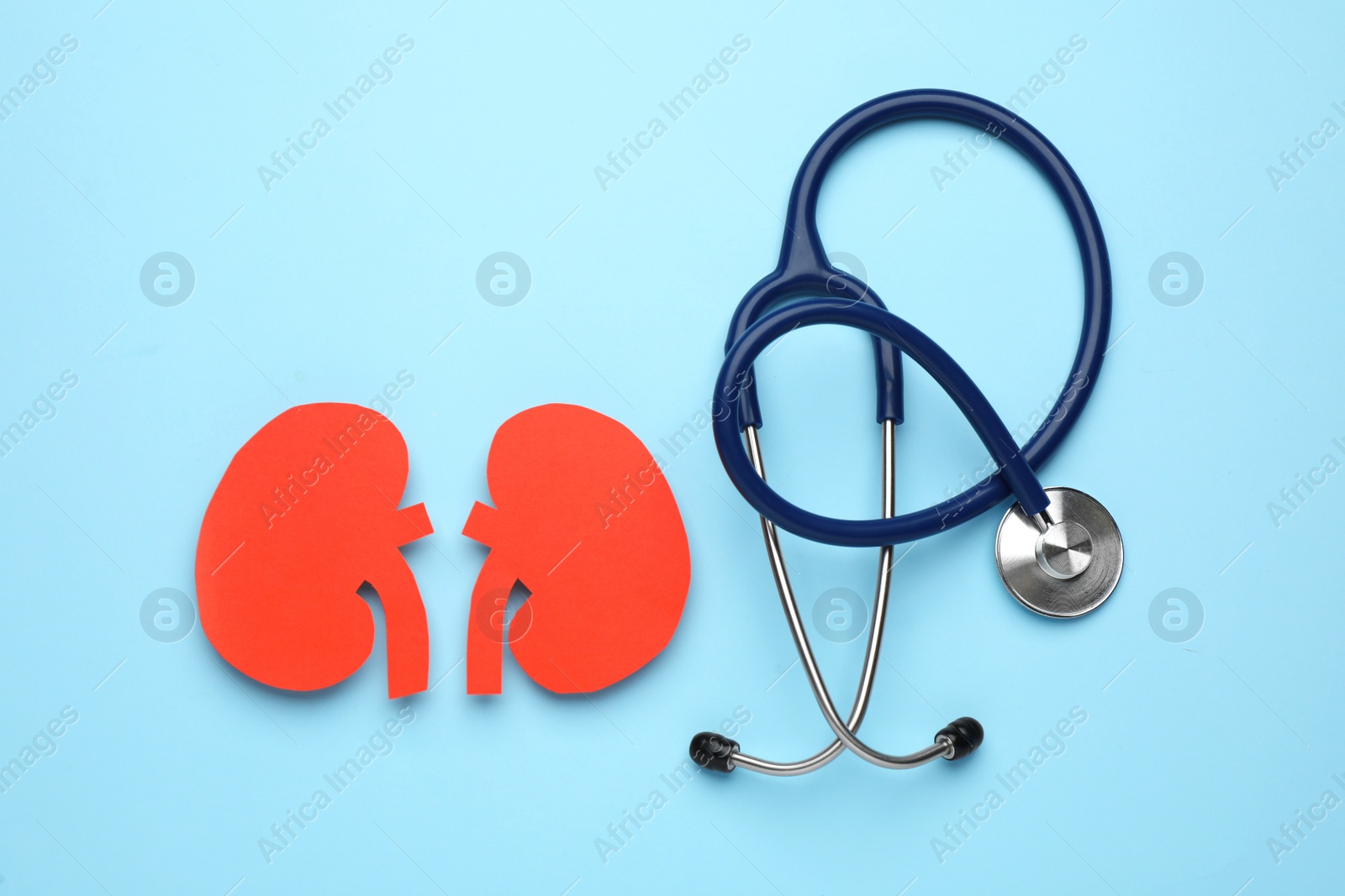 Photo of Paper cutout of kidneys and stethoscope on light blue background, flat lay