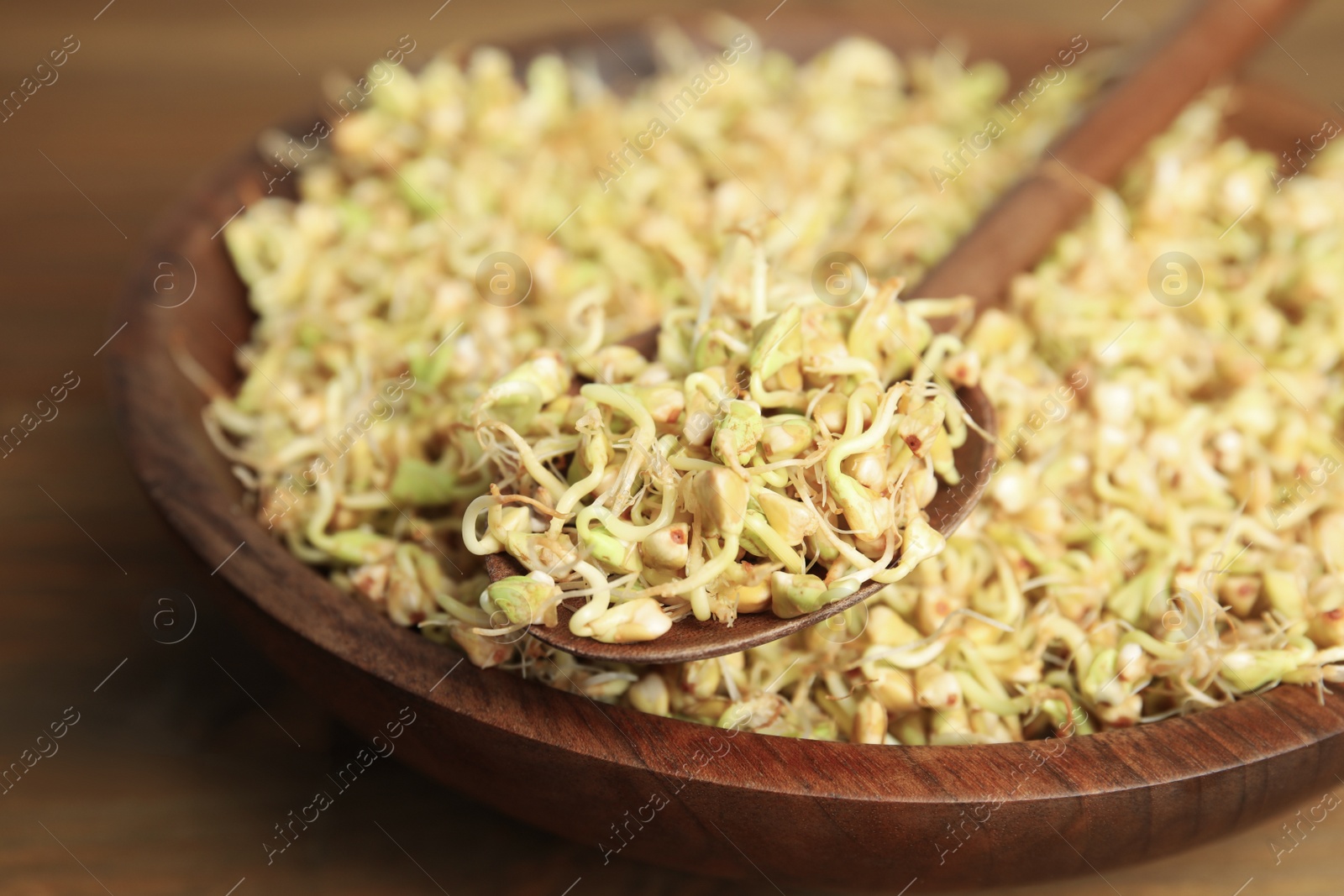 Photo of Wooden spoon with sprouted green buckwheat over plate, closeup