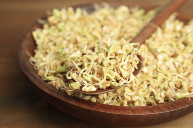 Photo of Wooden spoon with sprouted green buckwheat over plate, closeup