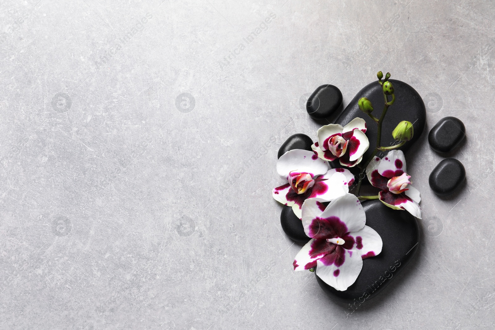 Photo of Flat lay composition with spa stones and orchid flowers on grey background. Space for text