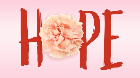 Word HOPE made with letters and beautiful carnation flower on pink background