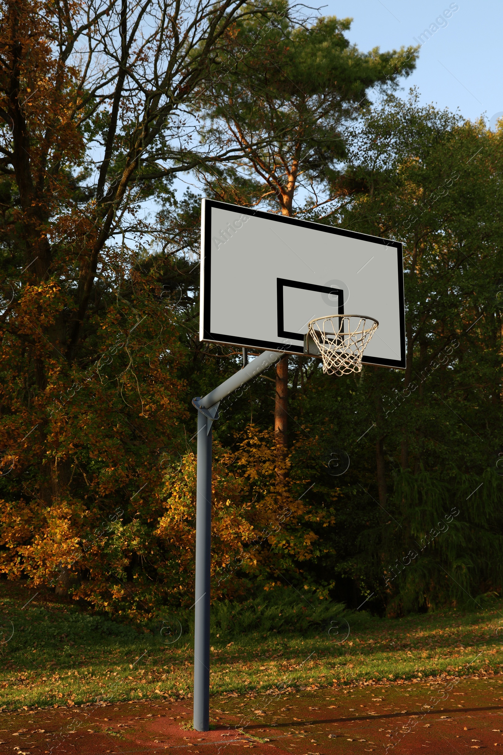 Photo of Basketball backboard with net on court near trees