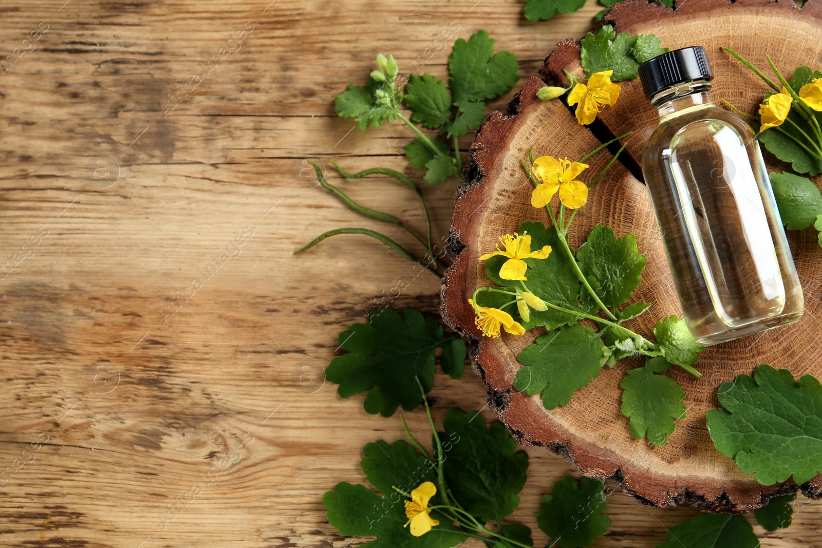 Photo of Bottle of celandine tincture and plant on wooden table, flat lay. Space for text